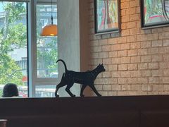 -三猫黑鱼花(南大店)