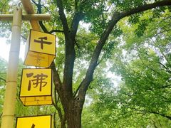 -千佛山风景名胜区