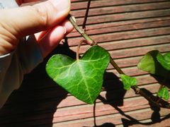 -终南山南五台景区