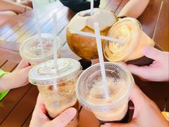 -100蛋泥浆浴