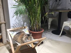 -小时光咖啡馆(开森度假森林店)
