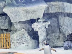 -海合安武汉极地海洋公园