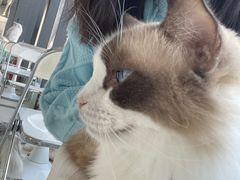 -怪兽屋·羊驼·猫咖·狗咖(俊华广场店)