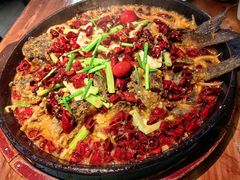 -老板恋上鱼(振华商厦店)