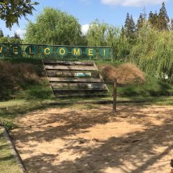 -前小桔亲子创意农场·草莓采摘·露营烧烤