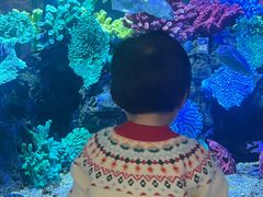 -台州海洋世界