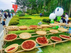 -中国天府农业博览园