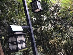 -大屏嶂森林公园