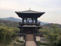 -大唐贡茶院
