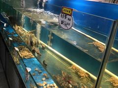水产区-高家烧鸽子烧烤店63年