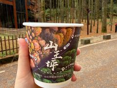 -山王坪喀斯特国家生态公园