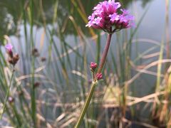 -昆山城市生态森林公园