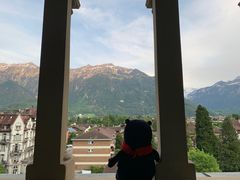 -因特拉肯贝乌里瓦奇大酒店