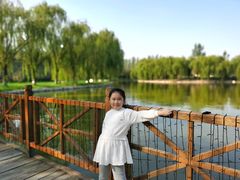 -杨柳青庄园