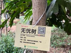 -呀路古热带植物园