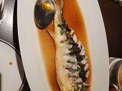 -甄御•海鲜新青岛菜(麦岛店)