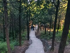 -北京凤凰岭
