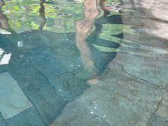 -大理石门关温泉