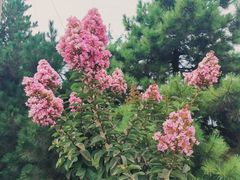 -洨河生态公园