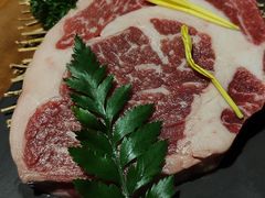 -道乐烧肉酒馆
