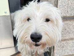 -苏州河梦清园环保主题公园