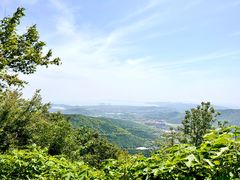 -惠山国家森林公园