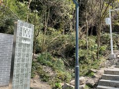 -南山植物园