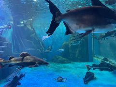 -多彩贵州城极地海洋世界