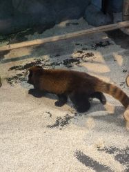 -Zoolung Zoolung动物主题公园(海信广场店)