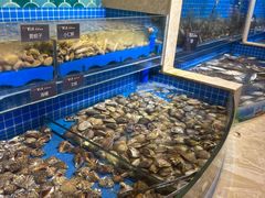 -乔哥铭洋海鲜自助(皇城恒隆广场店)