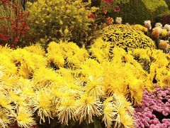 -杭州植物园