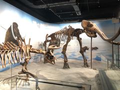 -辽宁古生物博物馆