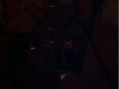 iphone_upload_pic-Helens海伦司小酒馆(复旦大学店)