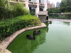 -行者书屋大堂吧 ·下午茶(南京圣和府邸酒店)