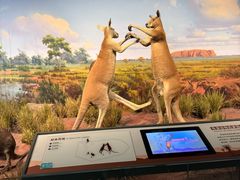 -陕西自然博物馆