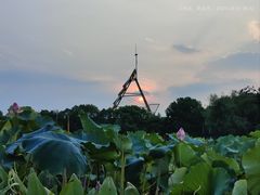 -艾溪湖湿地公园