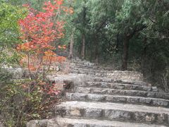 -千佛山风景名胜区