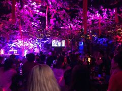 -周庄红庭演艺酒吧