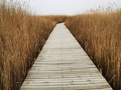 -野鸭湖国家湿地公园