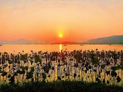-湖畔居茶楼(湖滨店)