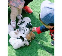 -萌宠亲子动物乐园(槐房万达店)