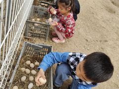 -智慧家教育(回龙观校区)