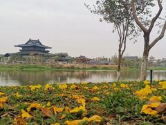 -海珠湖公园