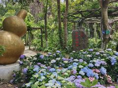 -广西壮族自治区药用植物园