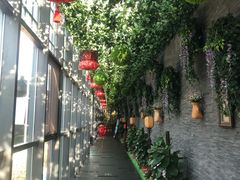 -东方华地城湿地温泉度假区