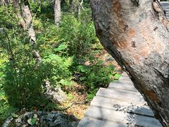 -白草畔自然风景区