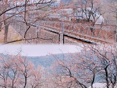 -居庸关长城