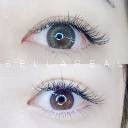 -BELLAREAL新美社
