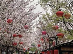 -科兴科学园