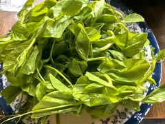 豌豆尖-美食村花园餐厅